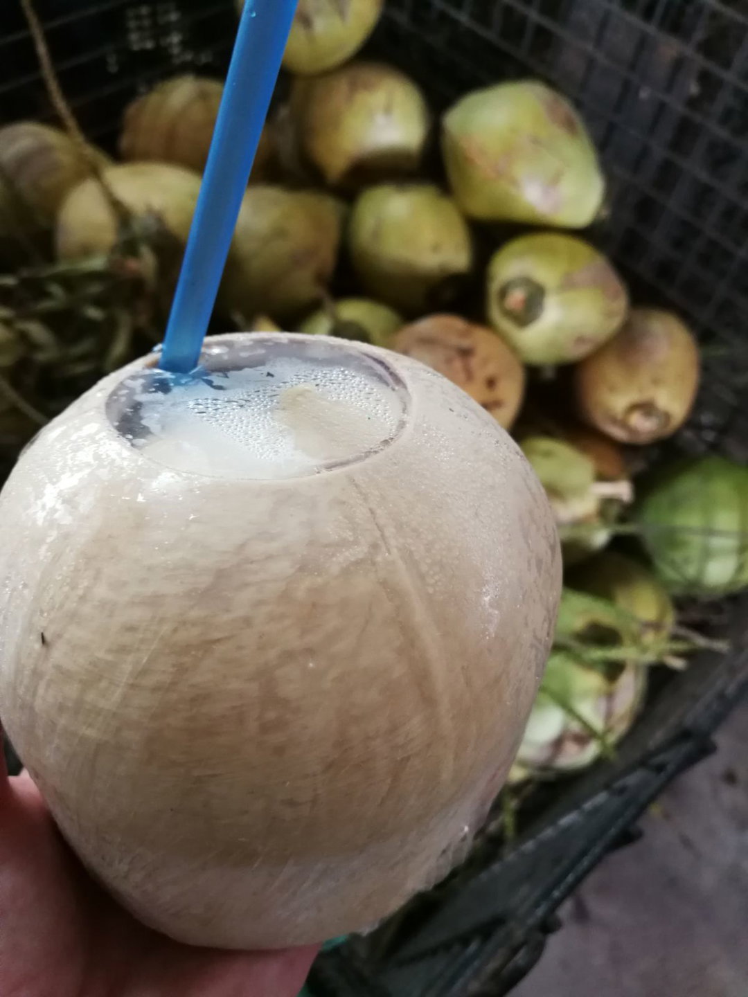 R1- Ready to drink (Malaysia)