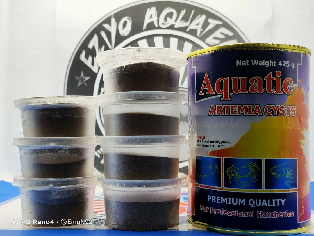 BBS SMALL ROE (AQUATIC)