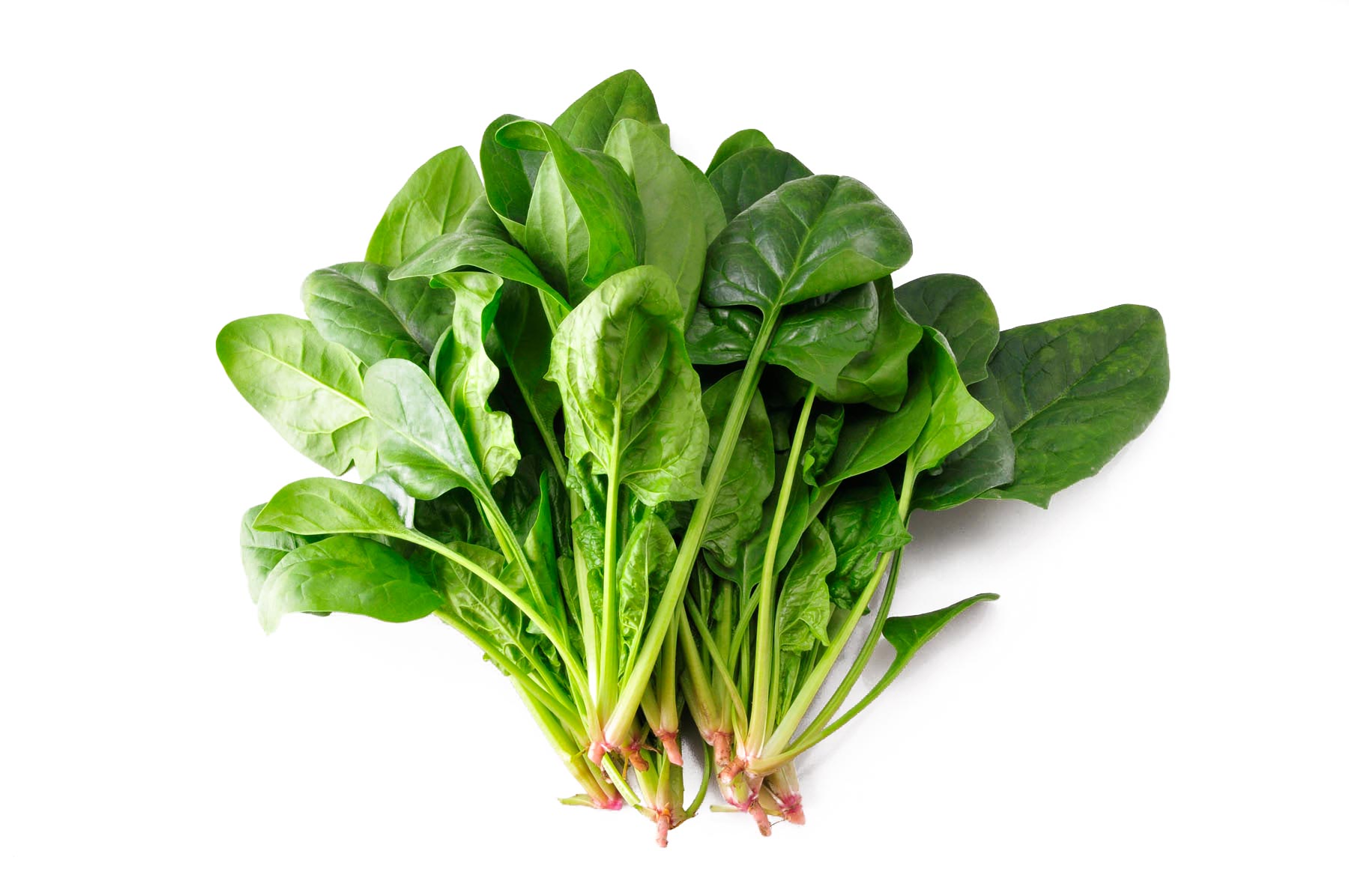 Spinach 菠菜_0