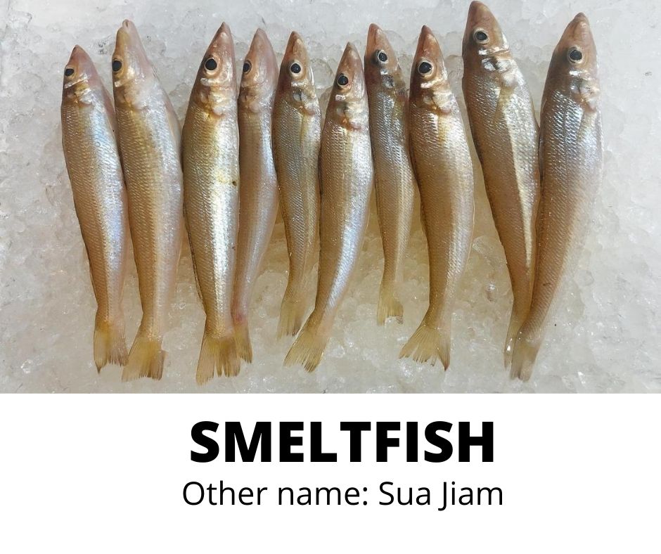 SMELTFISH (SUA JIAM)