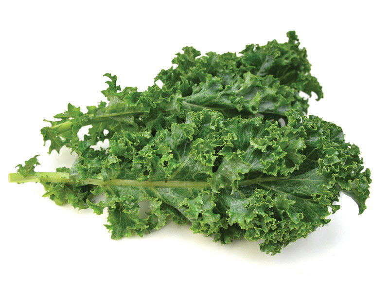 Kale 羽衣甘蓝_0