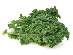Kale 羽衣甘蓝
