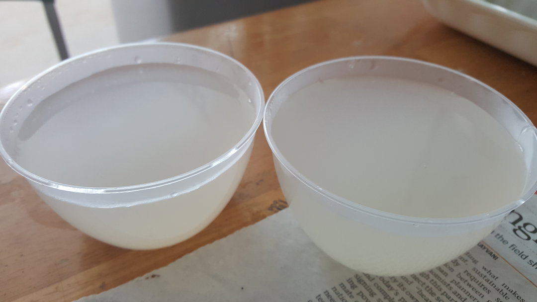 J2 - Coco Q Jelly (200ml cup size )