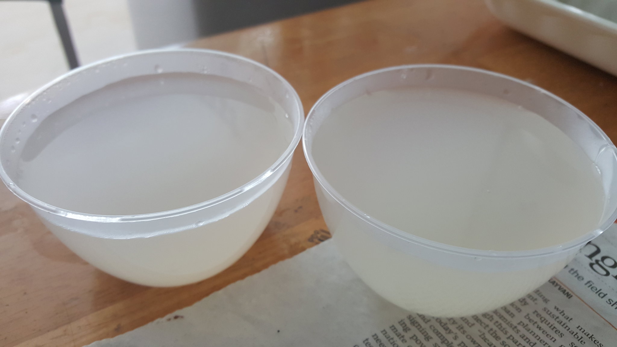 J2 - Coco Q Jelly (200ml cup size )_0