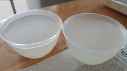 J2 - Coco Q Jelly (200ml cup size )