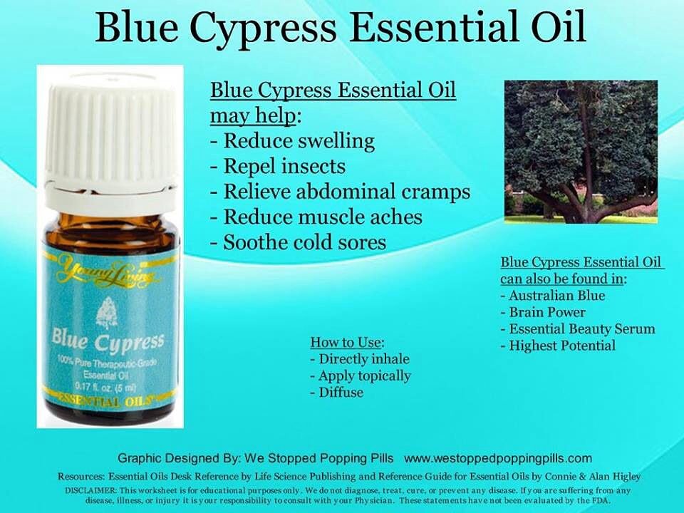 Blue Cypress 5ml (SALE)_0