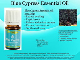 Blue Cypress 5ml (SALE)