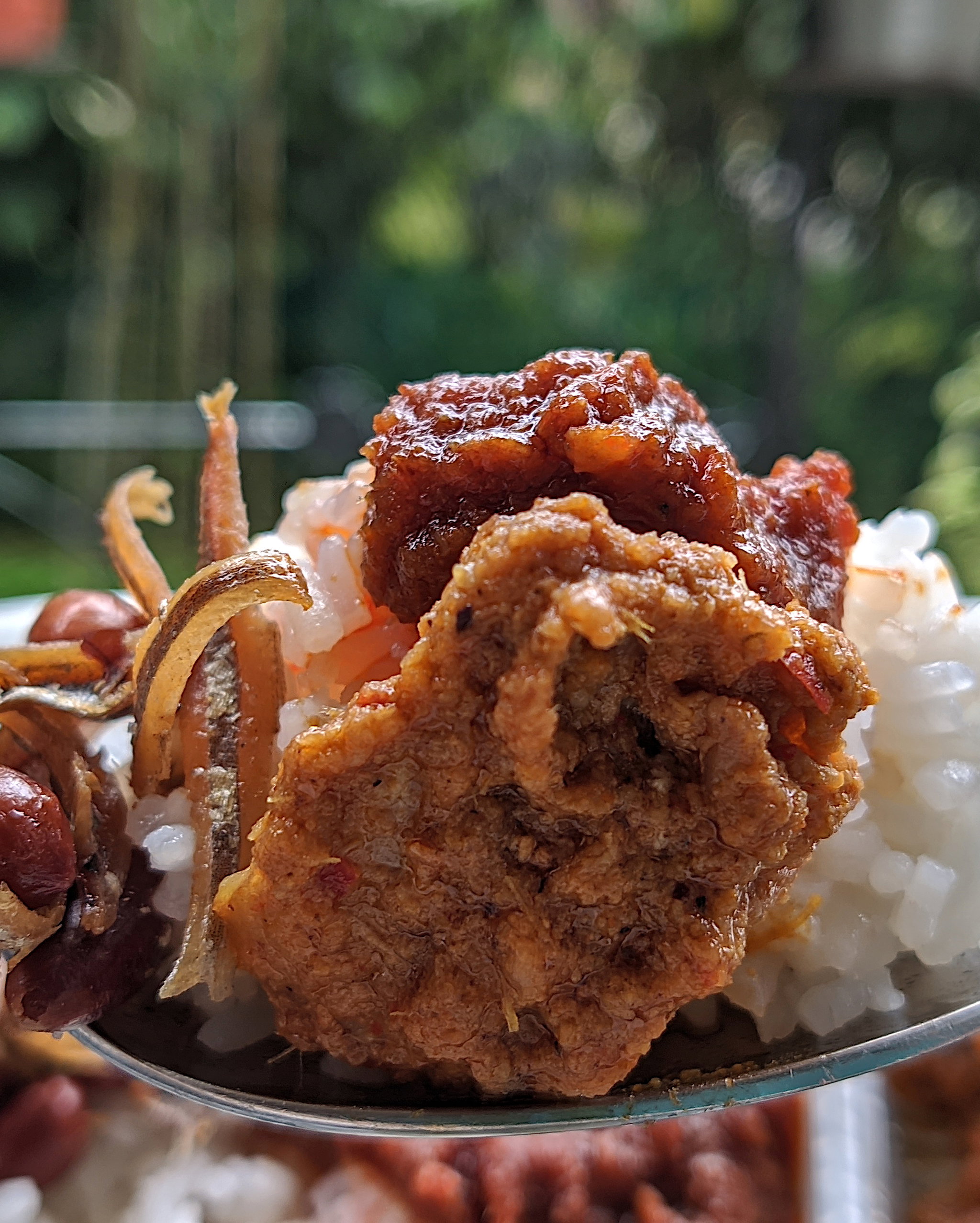 Nasi Lemak_0