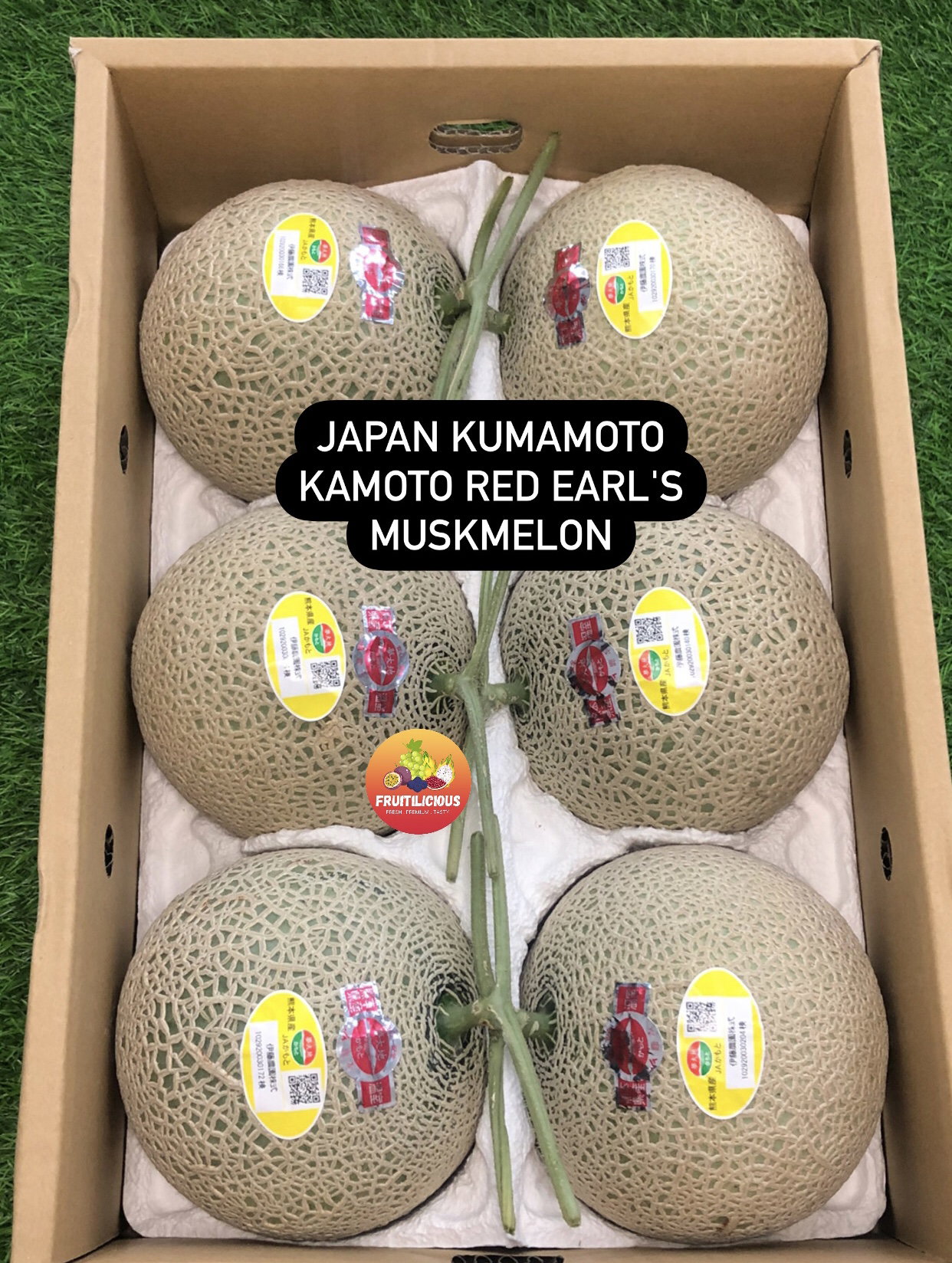 JAPAN KAMOTO RED EARL’S MUSKMELON (M)_0