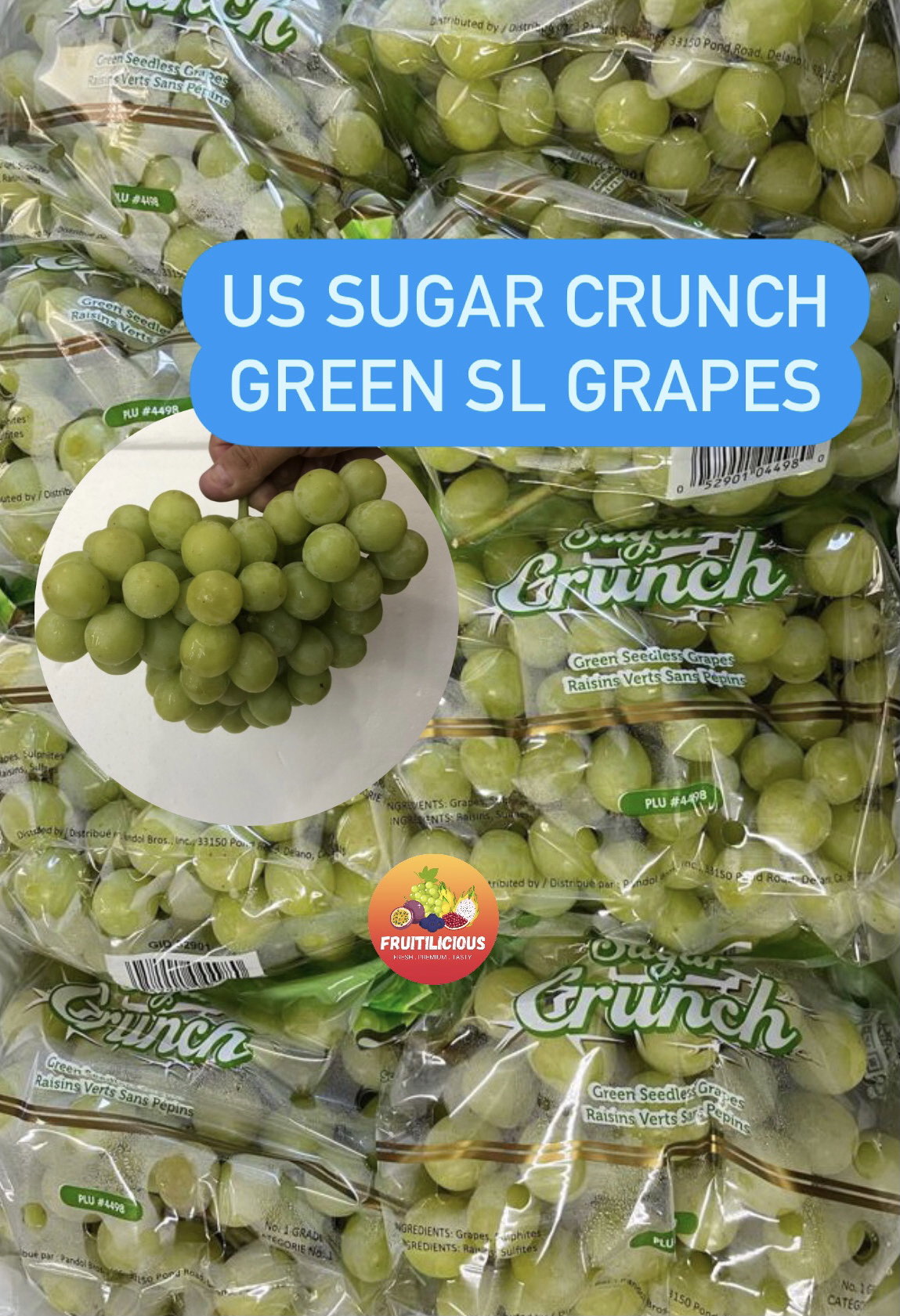 US SUGAR CRUNCH GREEN SL GRAPES_2