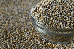 Kambu (Pearl Millet)