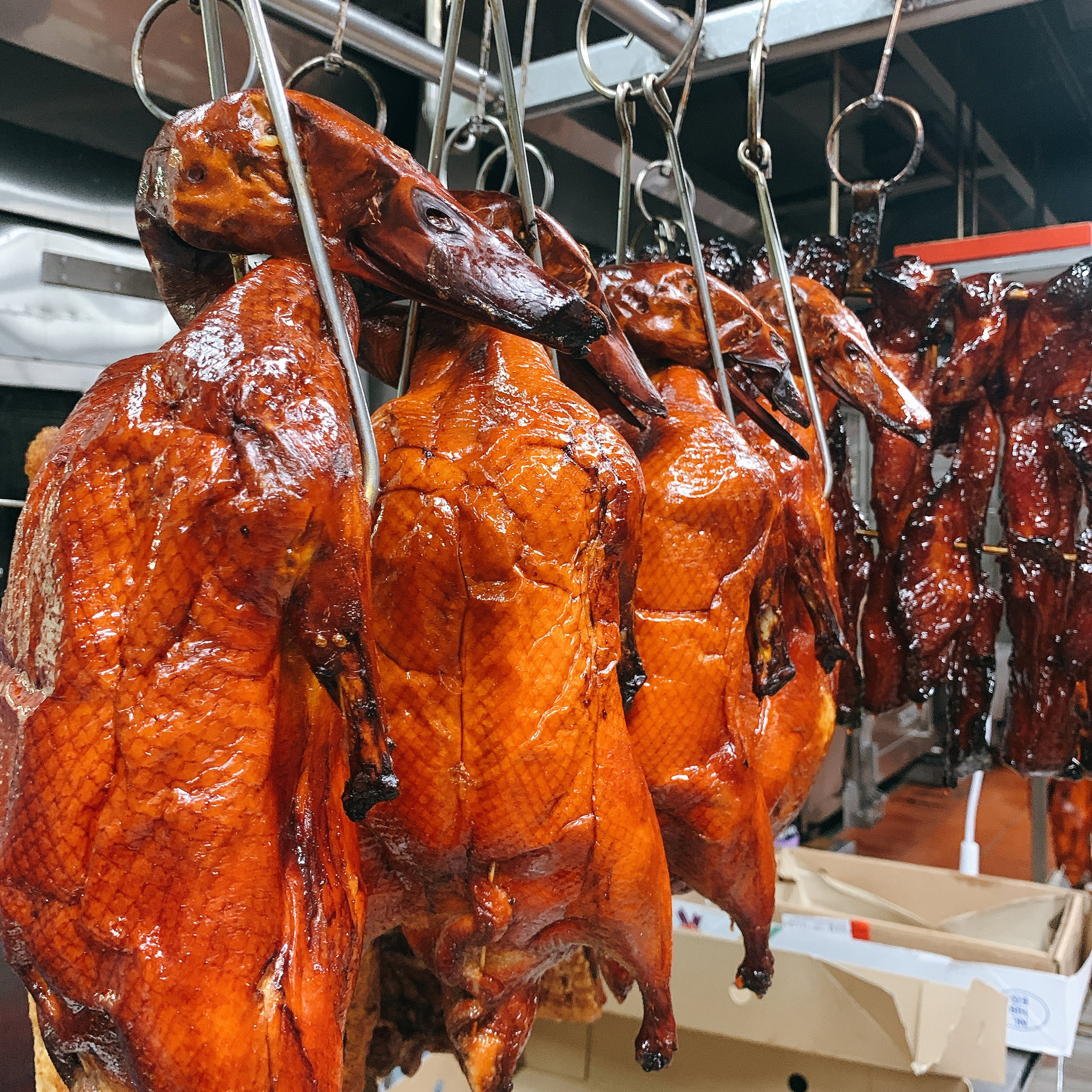 Roasted Duck | 烧鸭 _0