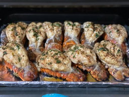 🦞Lobster🦞 *HOT!*