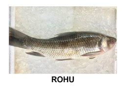 ROHU