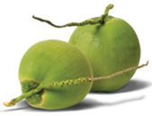 T2-Untrimmed coconut