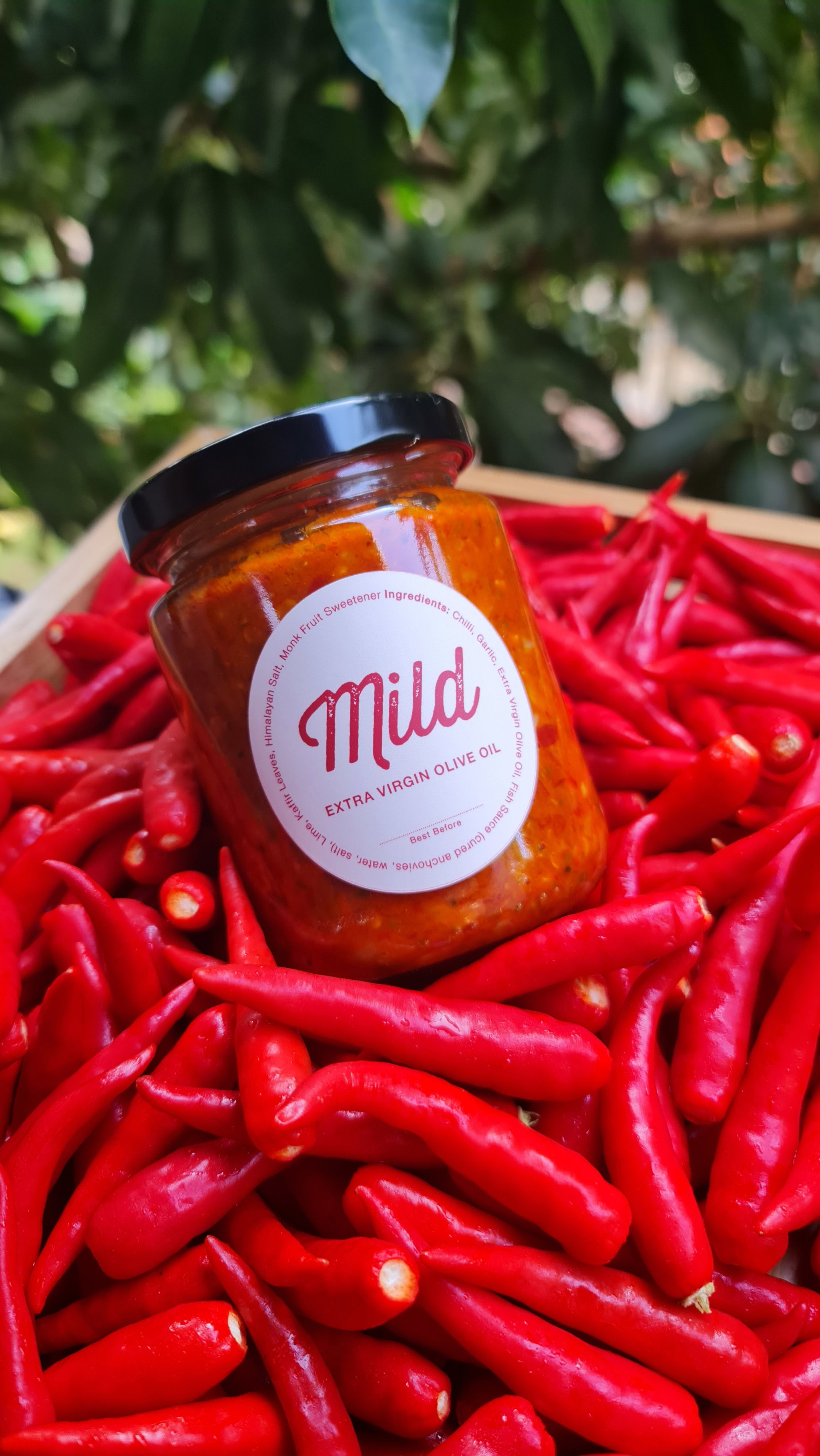 Mild Chilli in Extra Virgin Olive Oil_0