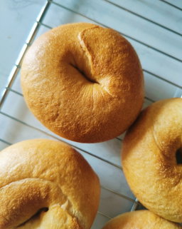 24-hr Sourdough Bagels 