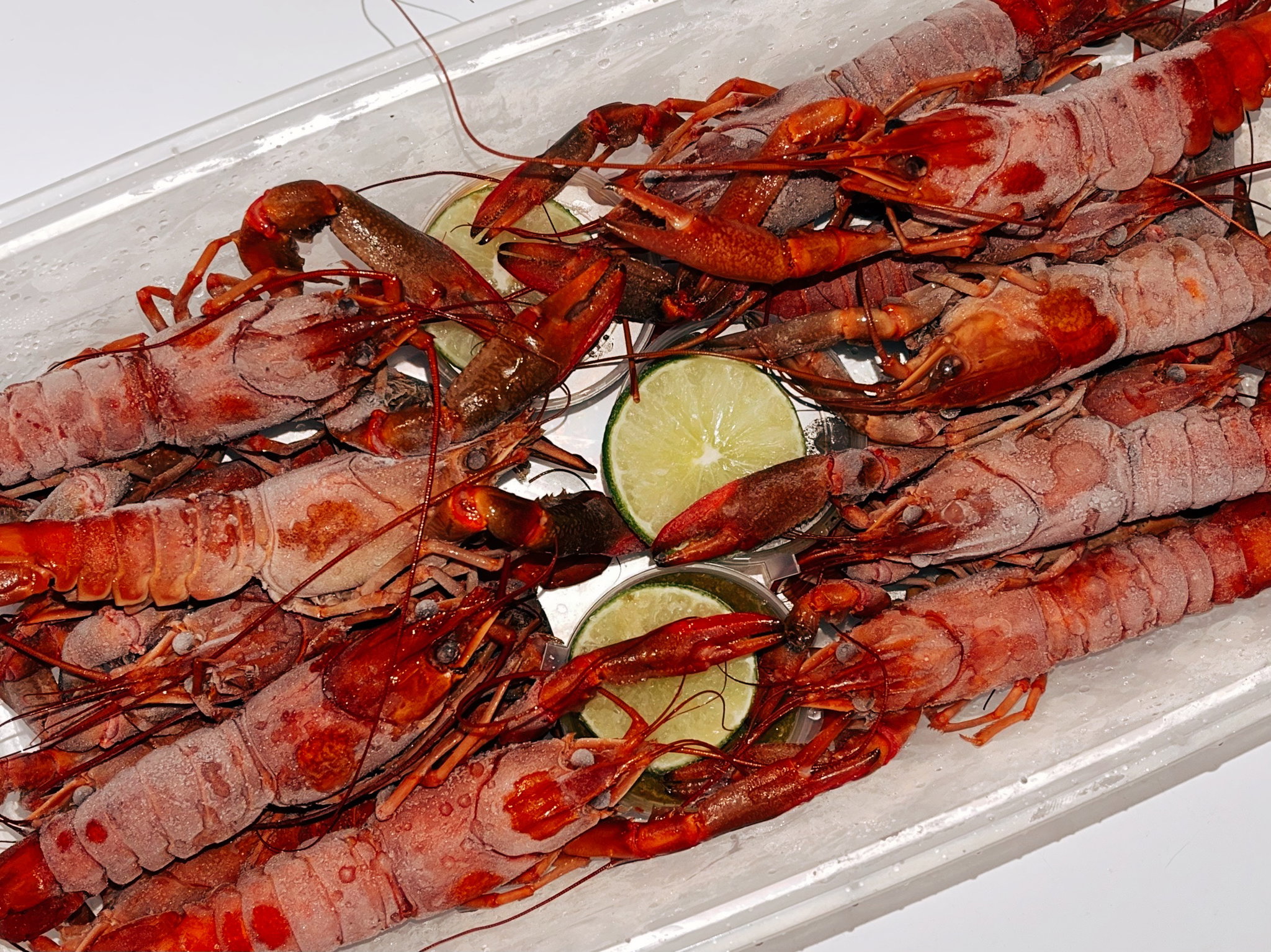 Premium Australian Crawfish 小龙虾 1KG (FROZEN)_0