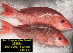 FRESH FROM PORT