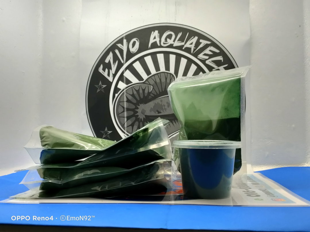 SPIRULINA (Serbuk)