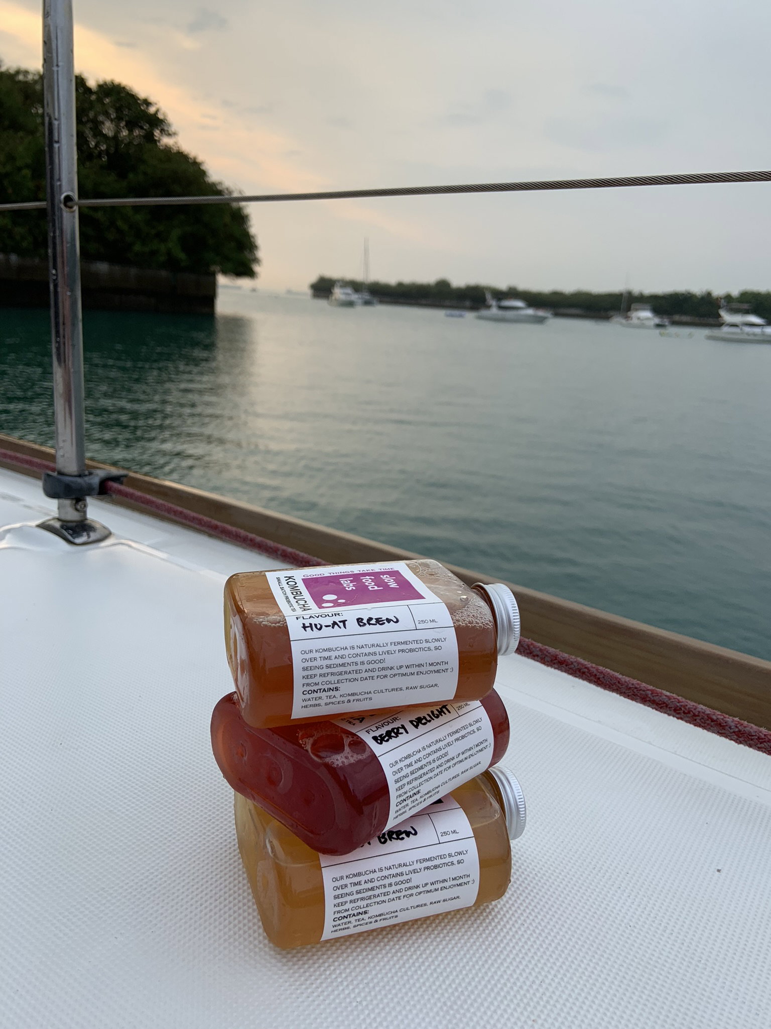 New 250ml Single Serve Fun Size Kombucha_1