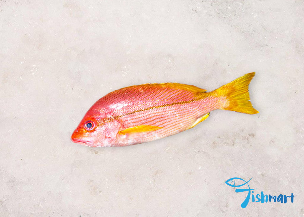 Kee Fish