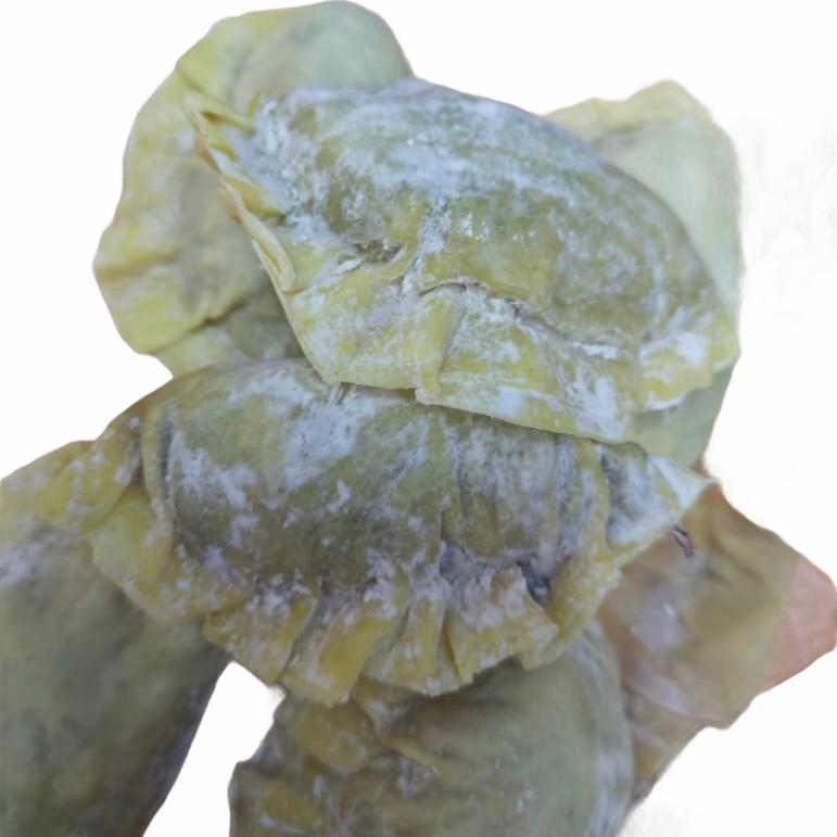 Homemade Fresh Dumplings (9pcs)
