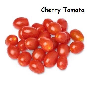 Cherry Tomato 樱桃番茄_0