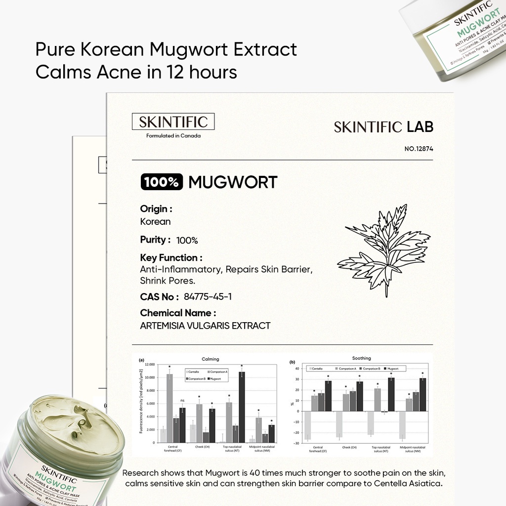 Skintific Mugwort Anti Pores & Acne Clay Mask 55g