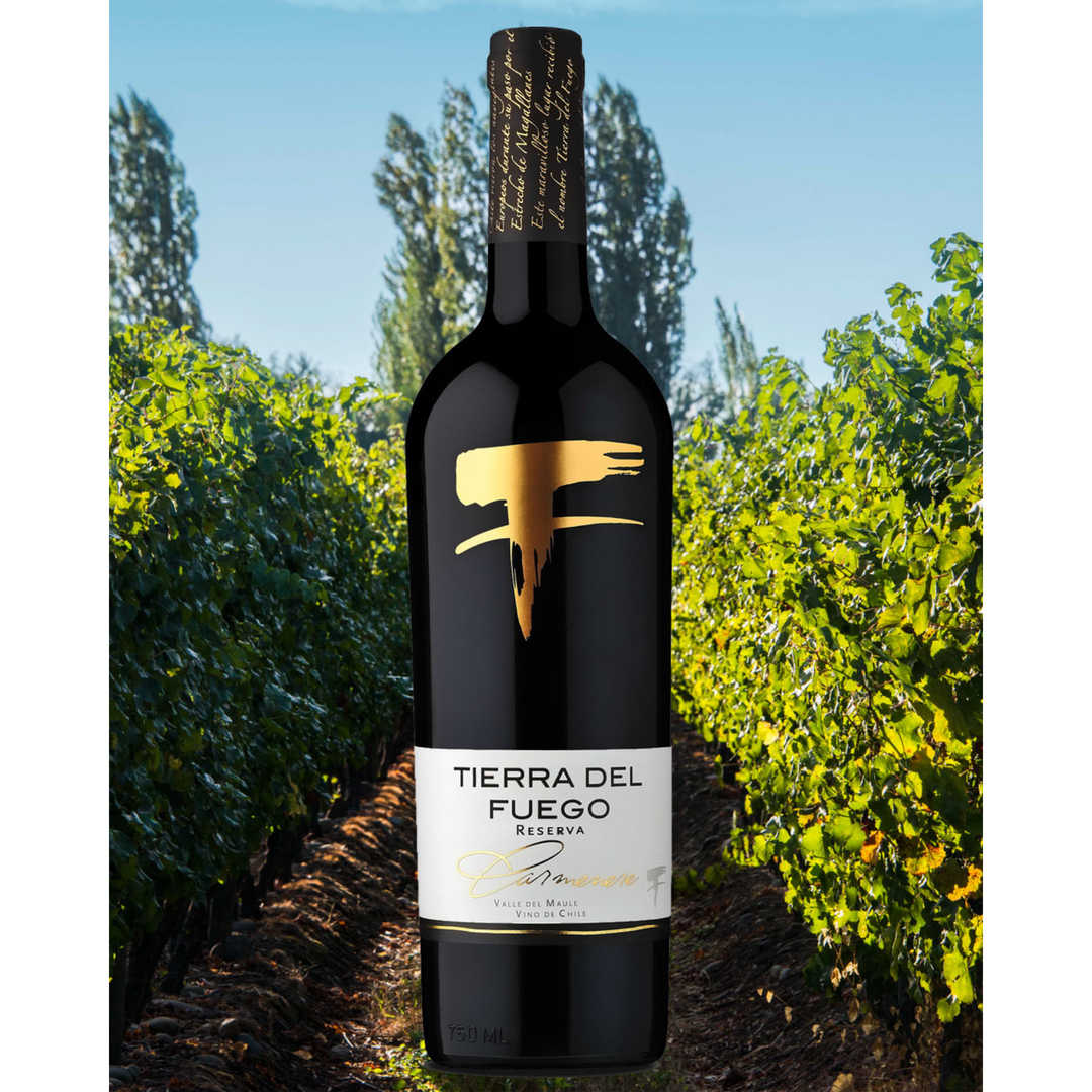 Tierra Del Fuego Reserva Cab Sauv. Original $62. 30% Discount!