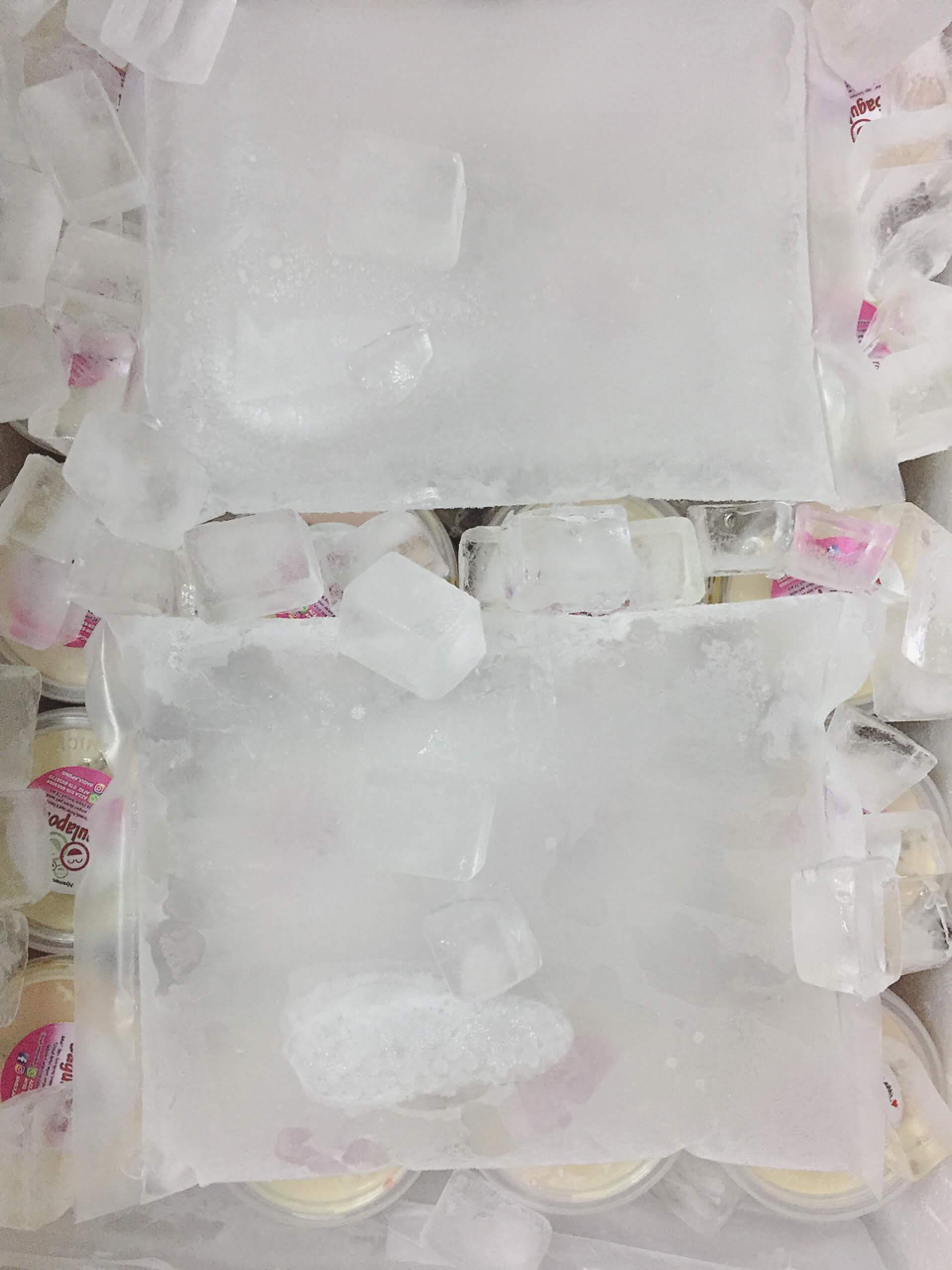 Foam Box + ice packs _0