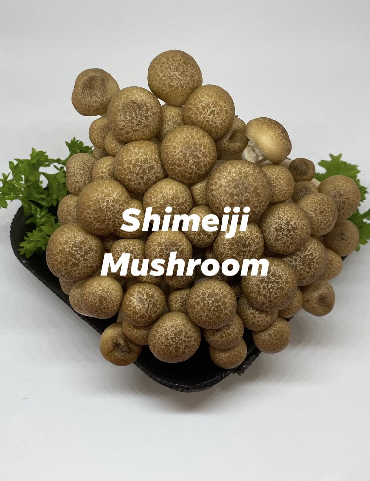 Shimeiji Mushroom _0