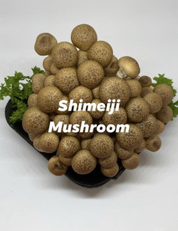 Shimeiji Mushroom 