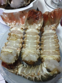 🦞Lobster🦞 *HOT!*