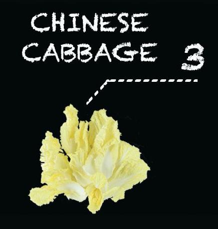 Chinese Cabbage