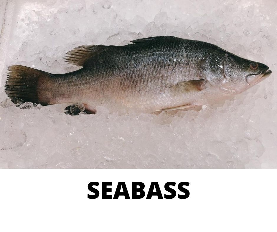 SEABASS