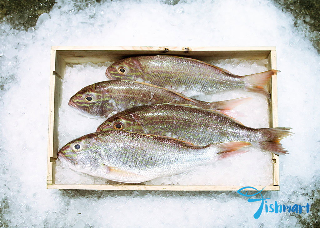 Ang Go Li Fish_0