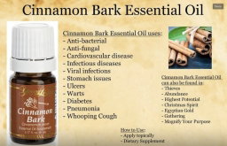 Cinnamon Bark 5ml (SALE)