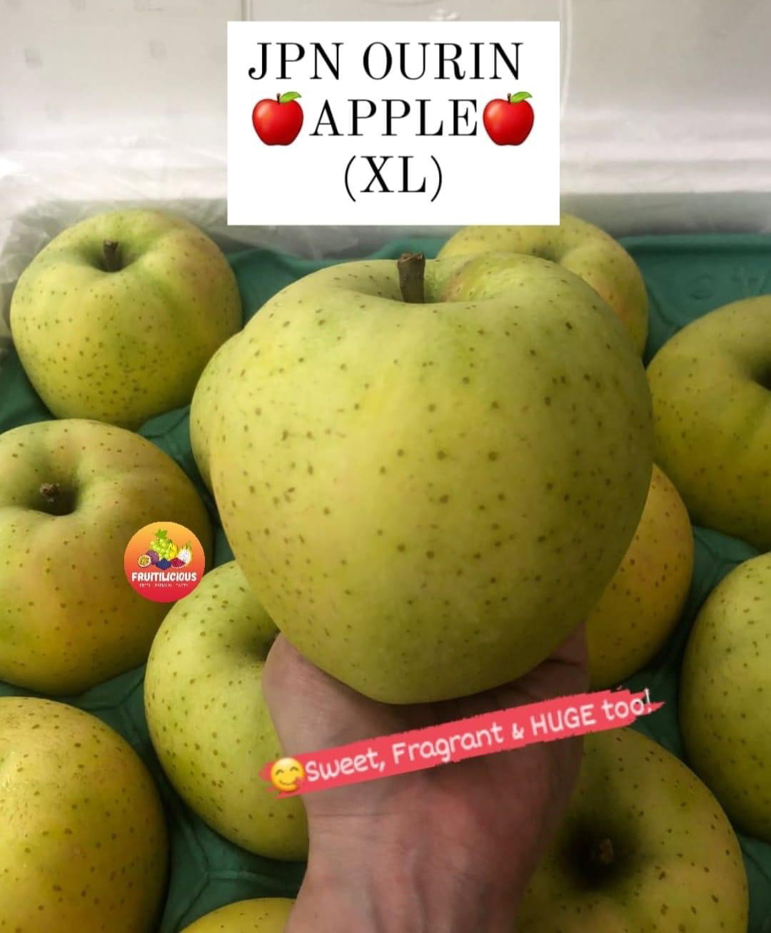 JPN ORIN APPLES (XL)