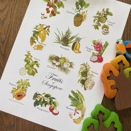 Fruits Series