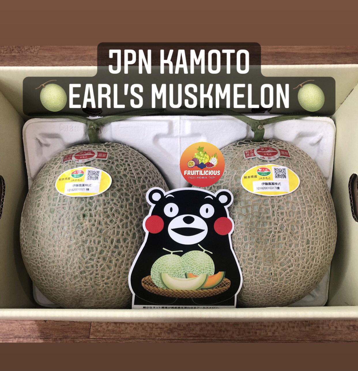 JAPAN KAMOTO RED EARL’S MUSKMELON (M)_1