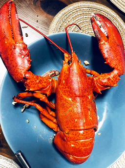 LOBSTERS & CRABS