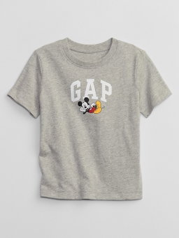 Mickey Gap Tee in Gray