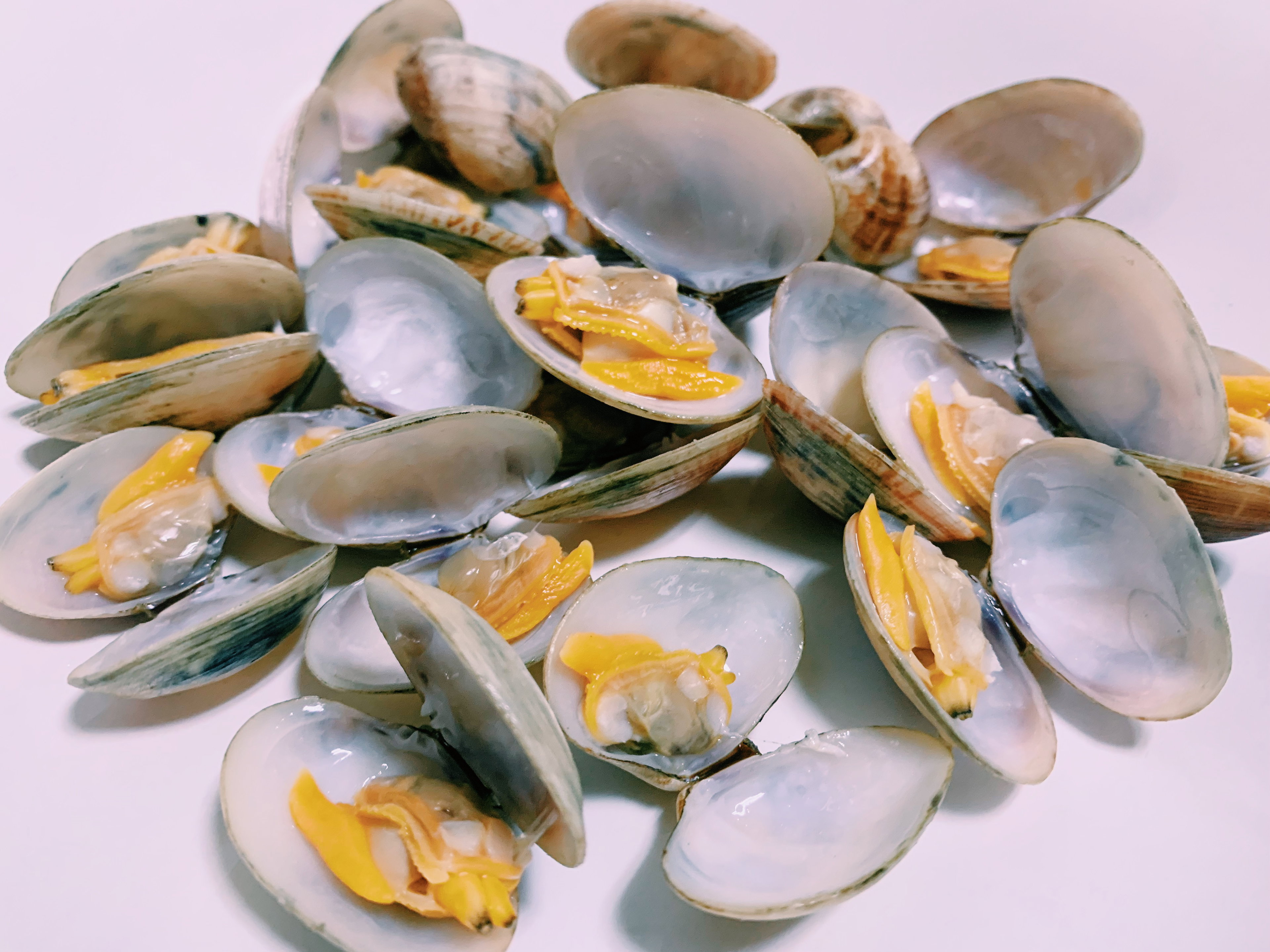 Clams 