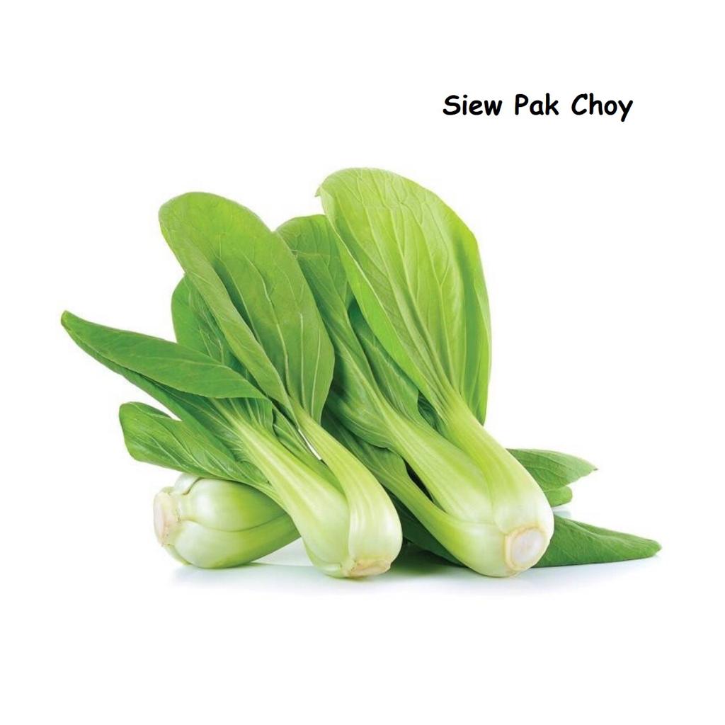 Siew Pak Choy 小白菜