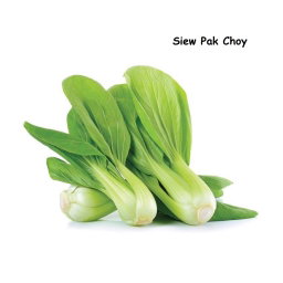 Siew Pak Choy 小白菜