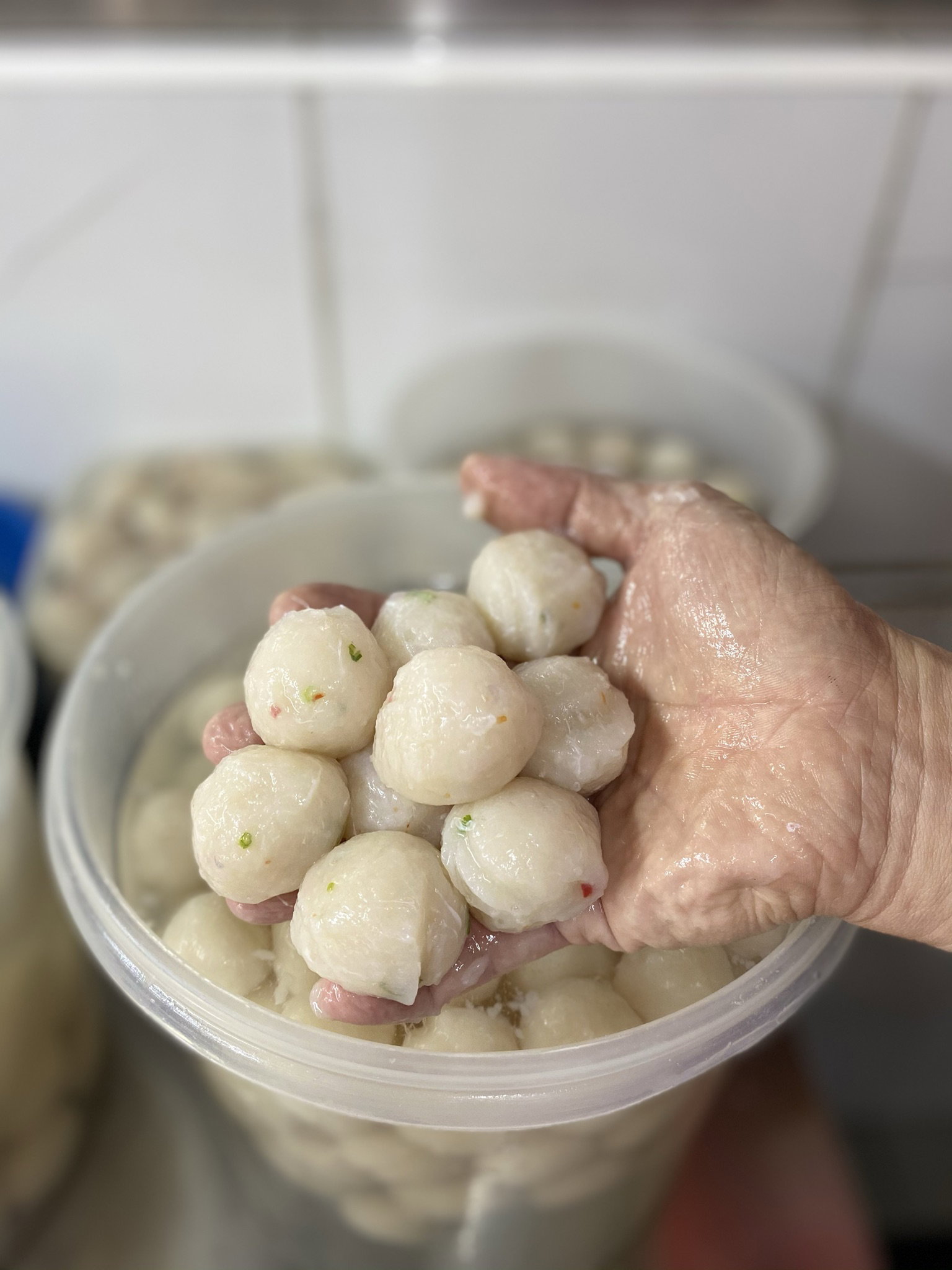 Handmade Fishballs 鱼圆_0
