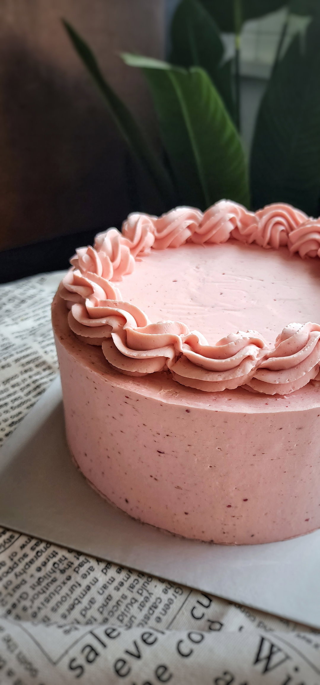 Chocolate Strawberry Cake
