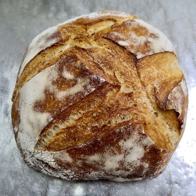Rustic White_0