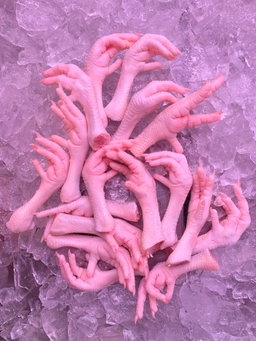 Fresh Chicken Feet 鸡脚